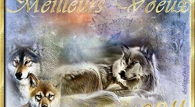 Meilleurs voeux