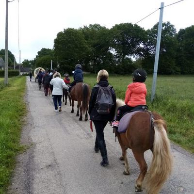 Séances de poney pour les maternelles