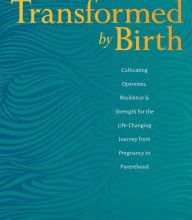 DOWNLOAD [PDF] {EPUB} Transformed by Birth: Cultivating Openness, Resilience, and Strength for the Life Changing Journey from Pregnancy to Parenthood