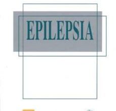 Descargar ebook format epub EPILEPSIA