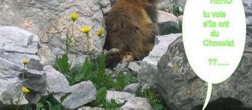 ET LA MARMOTTE, ELLE MET ...