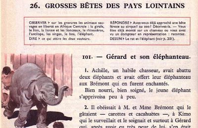 Semaine 26 Grosses bêtes des pays lointains