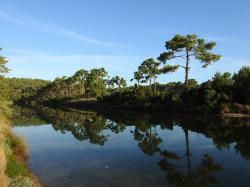 R 15 / le  23 juin - PIRAILLAN