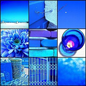 La vie en bleu