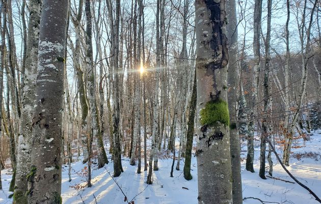 Le 16 décembre : petite balade hygiénique à Bucleloup