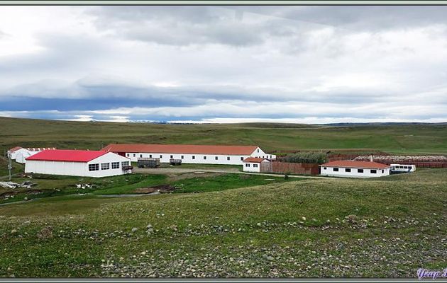 Estancia Cancha Carrera - Frontière Paso Rio Don Guillermo - Patagonie - Argentine