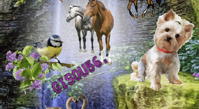 ANIMAUX DANS LA NATURE