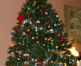 Il est encore beau le sapin...