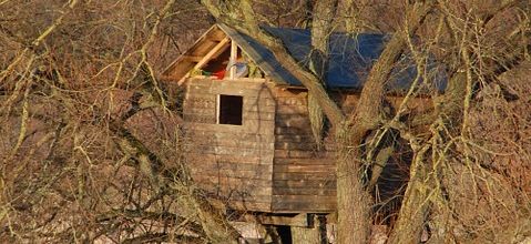 Ma cabane dans l'arbre...