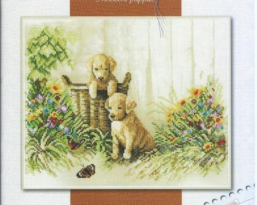 Innocent Puppies (6)