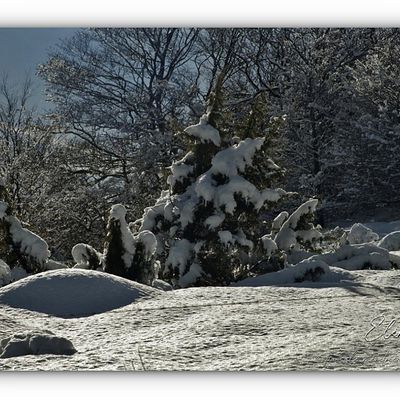 Paysages blancs sur les cimes Cévenoles