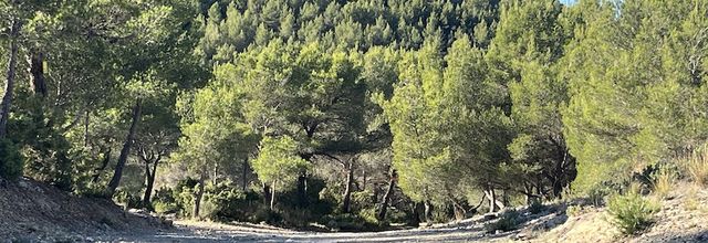 Les Barres du Saint Esprit par le sentier Pierre Tchernia