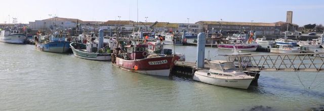 BALADE À LA COTINIÈRE (Île d'Oléron)