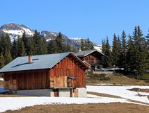 Chalets d'alpage authentiques