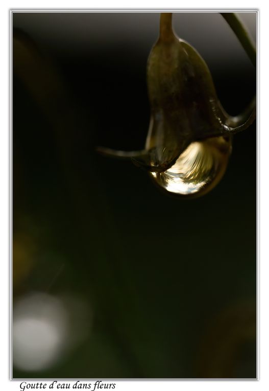 02 - Gouttes d'eau