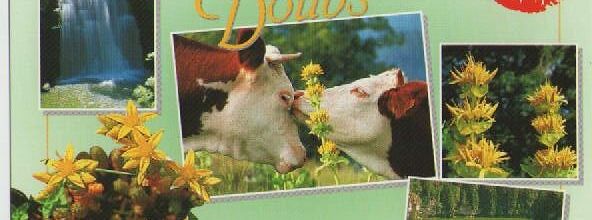cartes postales