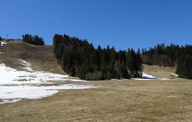 Le 6 avril 2018 : Le printemps à peine éclos