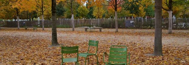Au Jardin des Tuileries ...