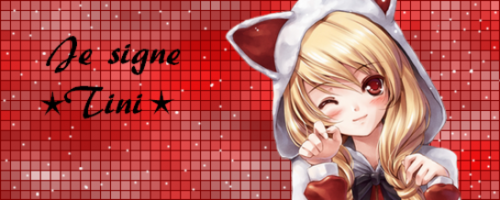 Signatures manga chat noël