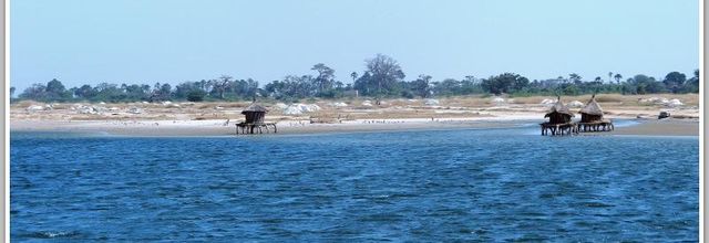 Pointe de Sangomar- DJIFFER 