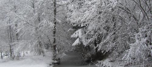 Paysages d'hiver
