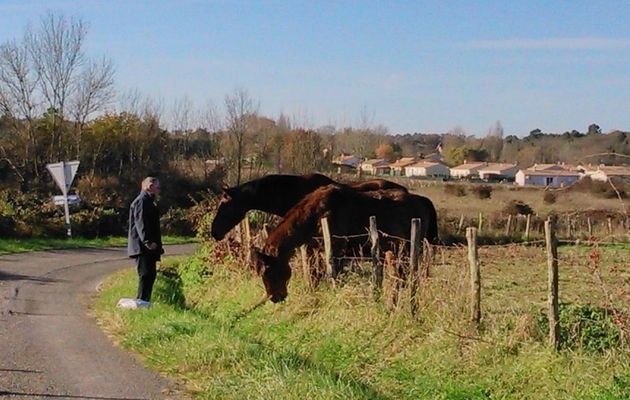 rencontre au cours de notre balade