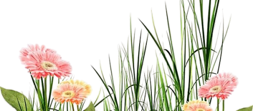 ѼVegetation