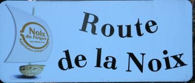 COLLONGES-LA-ROUGE (19)