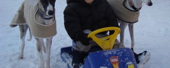 Un petit coucou de Bruxelles