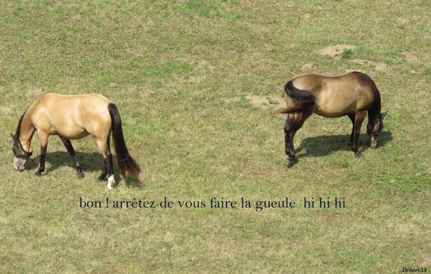 photos plaisir ... hi hi hi