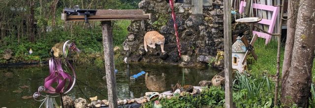 à la maison en Avril 