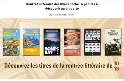 EB - Mon gros coup de coeur, "L'hôtel des oiseaux" de Joyce Maynard paraît en collection10-18...