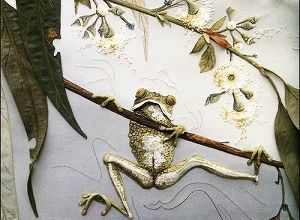 Mais quelle surprise ... 