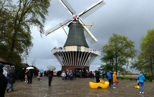 HOLLANDE EXPRESS - VOYAGE AU PAYS DE L'EAU - Jour 2  Le  Parc Floral du Keukenhof