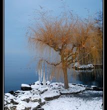 Chaud et froid, au bout du bout de mon pays ...