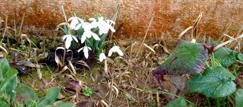 Le grand Nettoyage de printemps