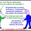On se marre en ce dimanche de Pâques chez les "Tiot".