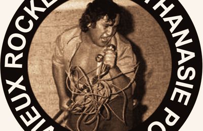 Les archives du punk français à l'université - Tours