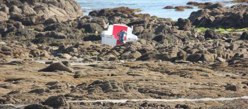 Ile d'Yeu