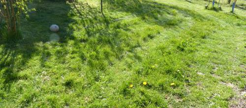 Jardin et décorations