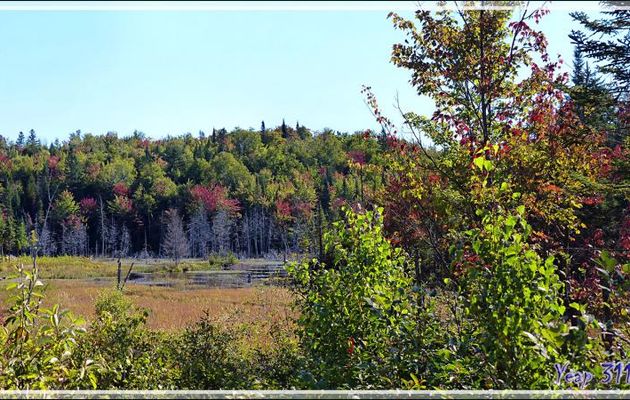 Débuts de couleurs d'automne sur la route vers Grandes-Piles - Lanaudière - Québec - Canada