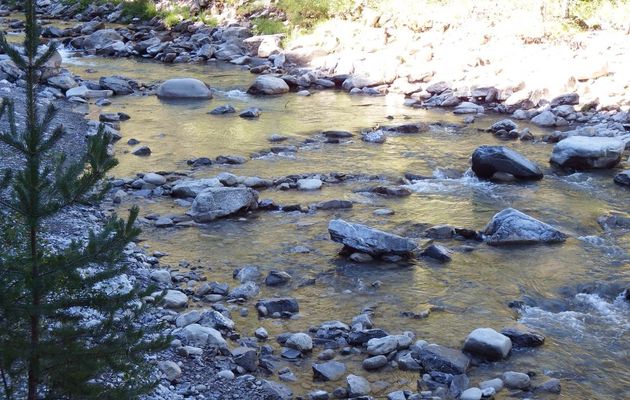 la rivière d'or