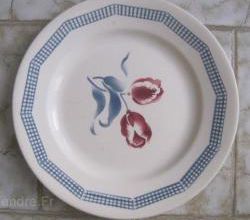 La tulipe.