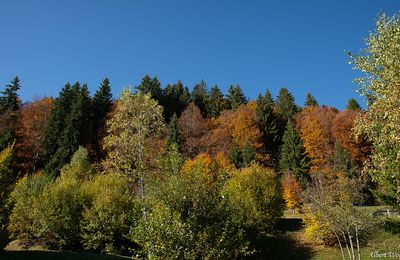 Jura automnal  - suite.