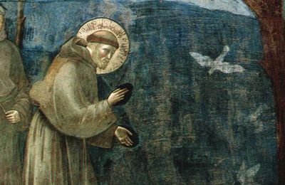 Sagesse écologique franciscaine  -  Richard Rohr