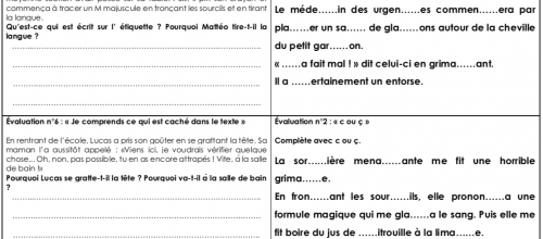 Les mini évaluations en français CE2 n°3