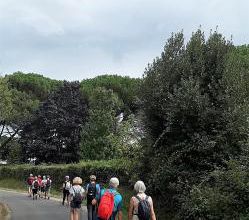 Marche BONUS/ CR du 15 09  - CAMBES
