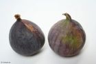 *Chutney : Chutney de figues*