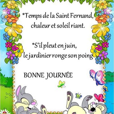 Dictons * Fête Fernand * grille prénom !