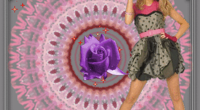 La rose de l amitie